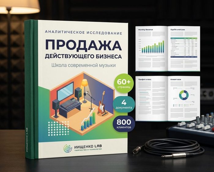 Документы для покупателя действующего бизнеса: инвестиционное предложение и руководство по продаже